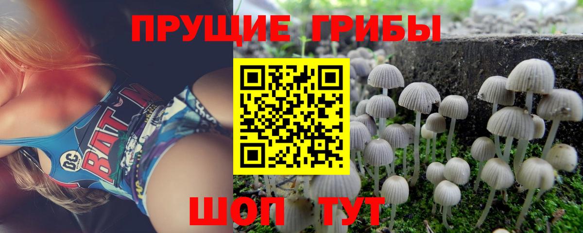 Псилоцибиновые грибы MAGIC MUSHROOMS Минеральные Воды